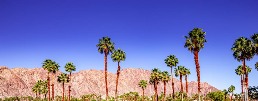 san jacinto mountain, palm springs, california