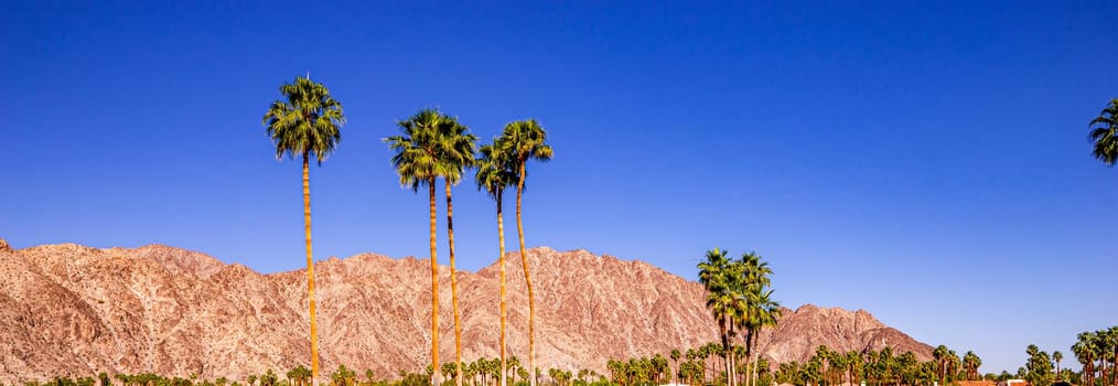 san jacinto mountain, palm springs, california