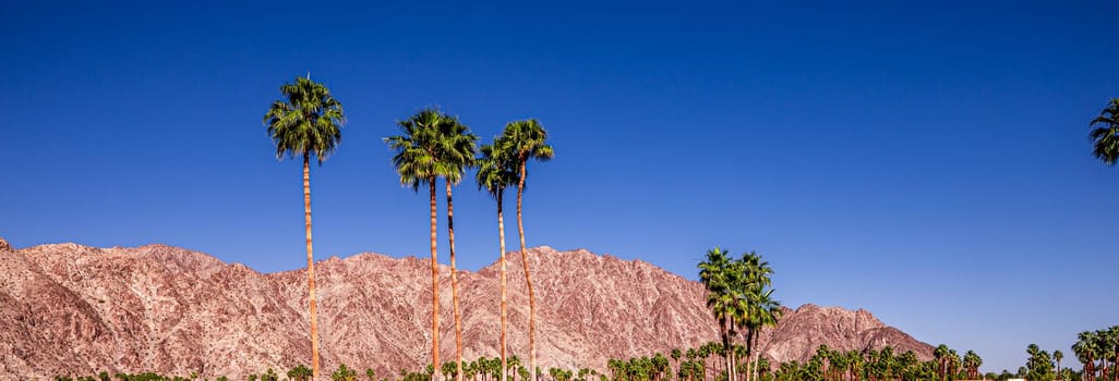 san jacinto mountain, palm springs, california