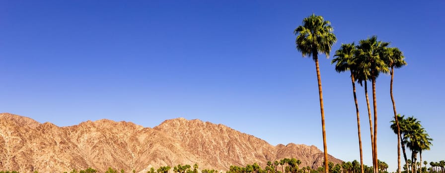 san jacinto mountain, palm springs, california