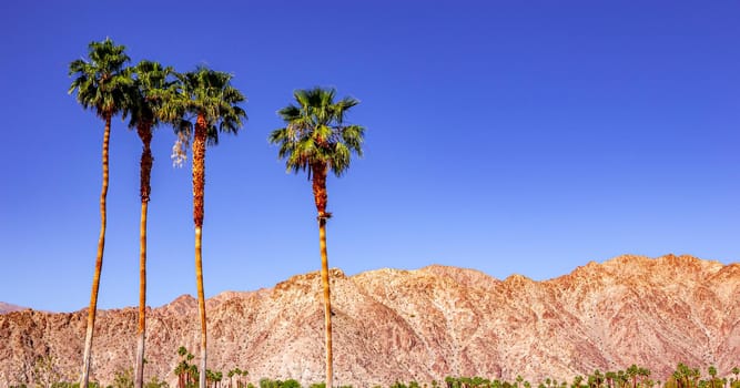 san jacinto mountain, palm springs, california