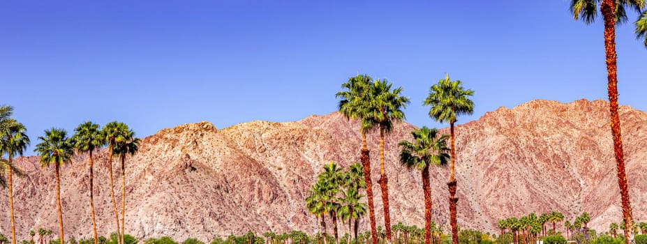 san jacinto mountain, palm springs, california