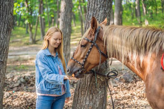 Beautiful women give a carrot to her horse