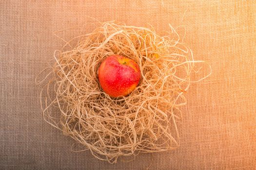 Apple placed on straw on canvas background