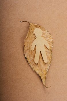Paper man shape placed  on a dry leaf in view