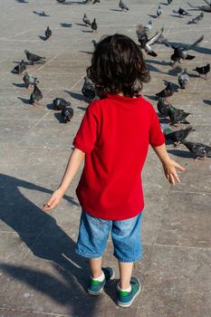little boy beside pigeons on stone pavement