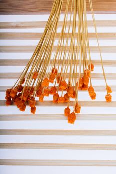 Bunch of dried flower placed on wooden background