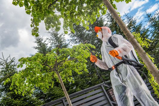 Professional Caucasian Garden Worker Spraying Backyard Trees and Plants. Garden Insecticide Job.