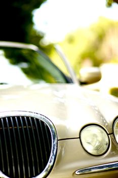 Luxury Vehicle (Car Front) in Sunny Day. Golden Body. Transportation Stock Photo