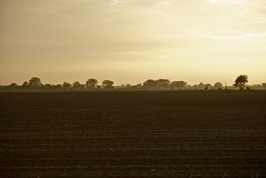 Illinois Farmlands. American Midwest Agriculture Photo Collection. Illinois State, USA.