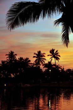 Tropical Sunset. Exotic Island and Palm Trees in Sunset.