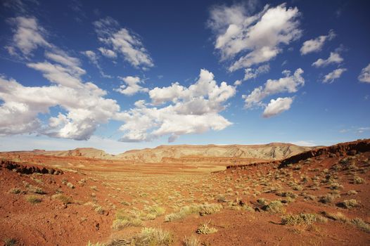 Mexican Hat Utah. Raw Mexican Hat Desert Landscape. Southern Utah State, United States. 