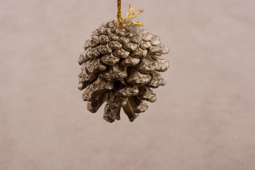 Pine cones on a linen canvas background