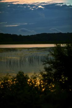 Summer Dusk at Lake in Wisconsin. Vertical Photography.