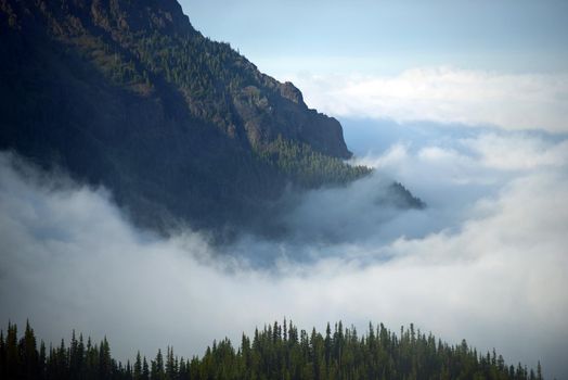 Cloudy Olympic Mountains - Olympic National Park, Washington, USA. 