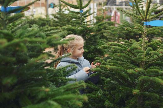 Small girl chooses a Christmas tree in the shop.