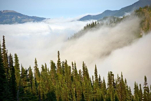 Cloudy Hills of Olympic Mountains in Washington State, USA. Olympic National Park Rainforest. Nature Photo Collection.