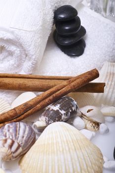 Cosmetic Theme - Relax and Beauty Composition. White Towel, Shells, Rocks and Vanilla Sticks.