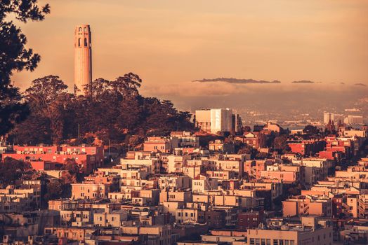 Telegraph Hill at Sunset San Francisco, California, United States. San Francisco Architecture.