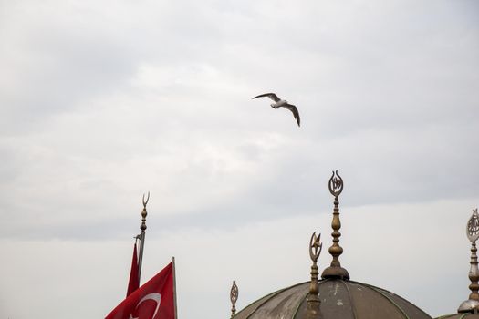 Outer view of dome in Ottoman architecture  in, Istanbul, Turkey