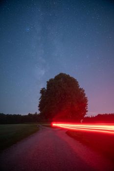 Milkyway over a tree with red light trails of a bike at a starry night