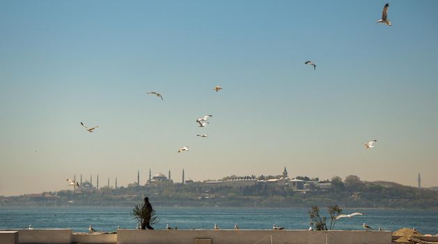 stanbul city skyline. Travel Turkey background. Urban panoramic view