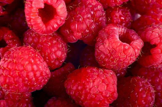 Raspberry Closeup - Raw Raspberries Closeup Photography. Fruits Photo Collection.