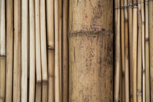 Bamboo sticks in stacks in view