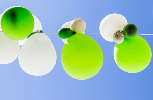 Colorful balloons in air between trees