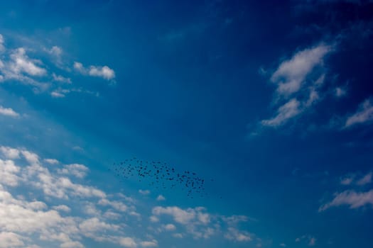 Blue cloudy sky with white  and grey clouds