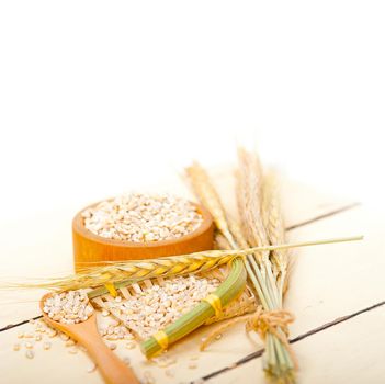 organic barley grains over rustic wood table macro closeup