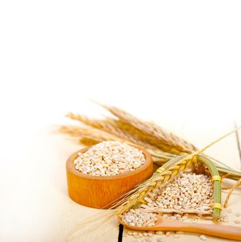 organic wheat grains  over rustic wood table macro closeup