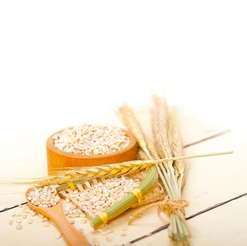 organic wheat grains  over rustic wood table macro closeup