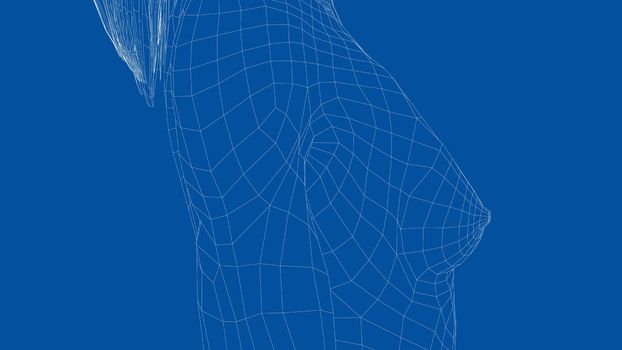 Wireframe female breast. Close-up view. Anatomy or mammography concept. 3d illustration