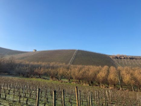 The hills of the Bussia region - Monforte d'Alba - Piedmont - Italy