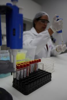 salvador, bahia, brazil - november 5, 2018: technician in laboratory makes analysis of blood under microscope of hospital in Salvador city.