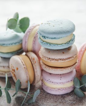 Beautiful colorful tasty macaroons and eucalyptus on a grey concrete background