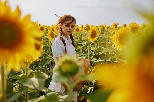 woman with two pigtails looking in the sunflower field landscape. High quality photo
