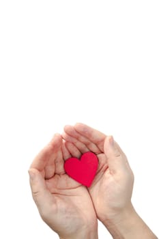 Human hands holding a red hearth. Woman hands isolated on white background Top view. Valentine concept. Valentines Day, romantic Holiday copy space space for text