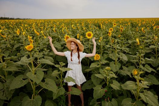 beautiful sweet girl looking in the sunflower field Summer time. High quality photo
