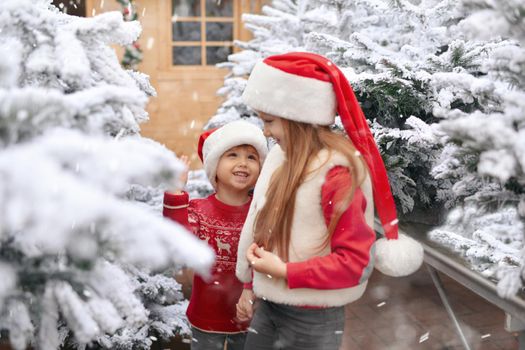 Children choose a Christmas tree at a market.