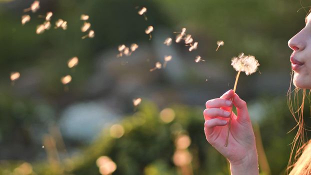 A young girl gently looks at the dandelion flower and blows it away