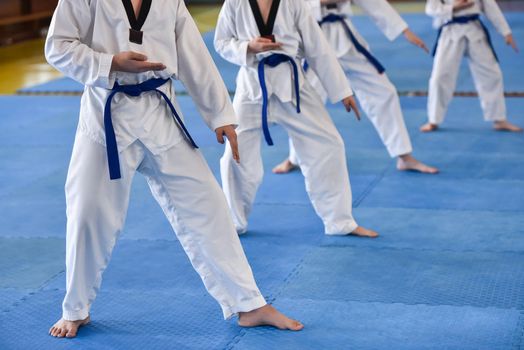 Taekwondo kids. Boys athletes in taekwondo uniforms with blue belts during a taekwondo tournament.