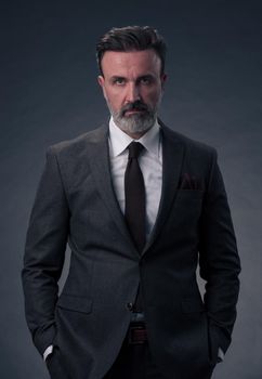 Portrait of a successful stylish elegant senior businessman with a grey beard and casual business clothes confident in photo studio isolated on dark background gesturing with hands. High-quality photo