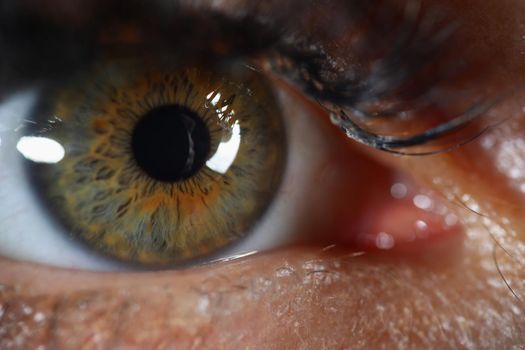 Close-up of womans eye with mascara on it, extreme macro shot of female sight organ, capillaries and imperfections. Ophthalmology checkup, medicine concept