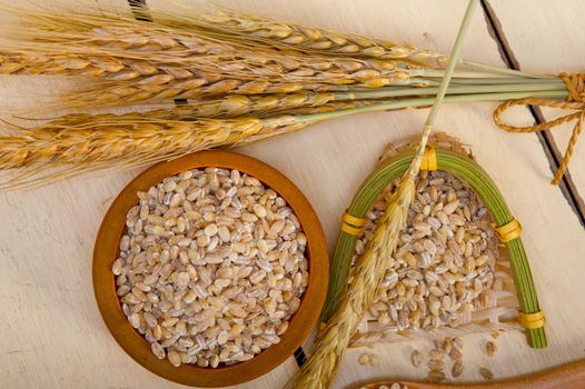 organic barley grains over rustic wood table macro closeup