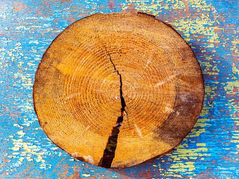 A crack in a cross section of a tree. The texture of a cross section of a pine trunk. A crack in a pine tree. Deforestation. Aging process. Background image. Place for text. Cracks. Poster.