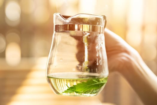 Healthy hot drink Sativa Cannabis Tea from Marijuana leaves, medical herbal tea from green nature plant.