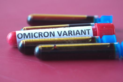 omicron variant corona virus blood test tube on red background .