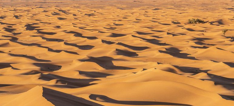 Scenic ridges of sand dunes in Sahara Desert,Morocco